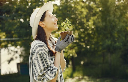 倪姓女孩有气质的名字 优选200个